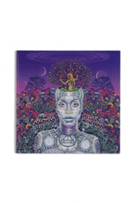 Vinyl – New Amerykah Part 2